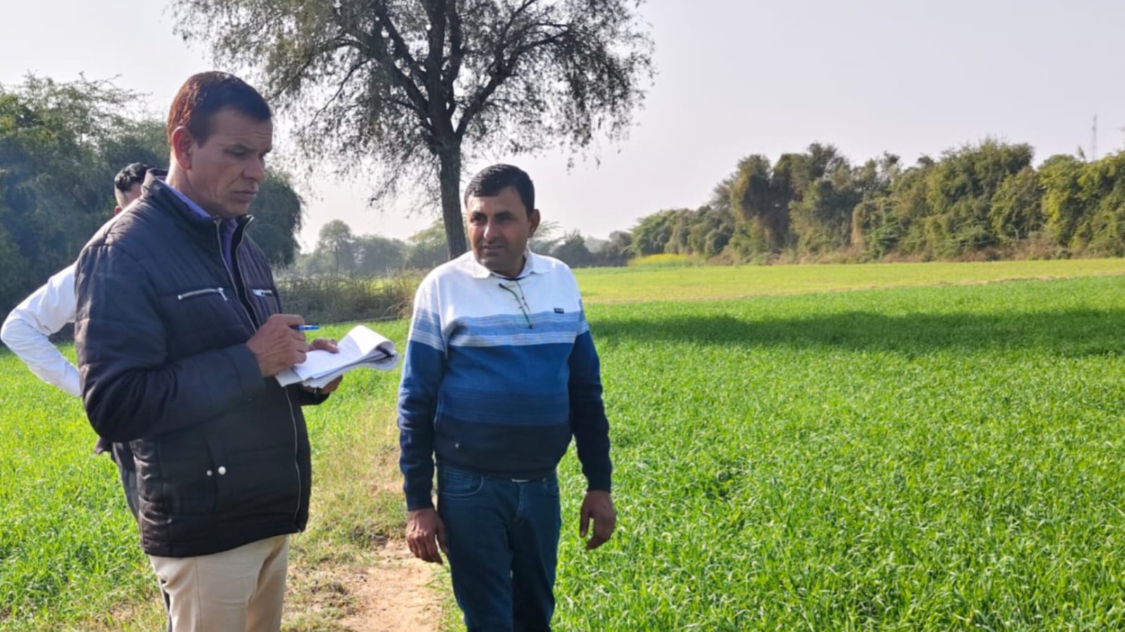 अतिरिक्त निदेशक कृषि (विस्तार) ने किया क्षेत्रीय भ्रमण, किसानों को दिये कृषि सुधार के निर्देश